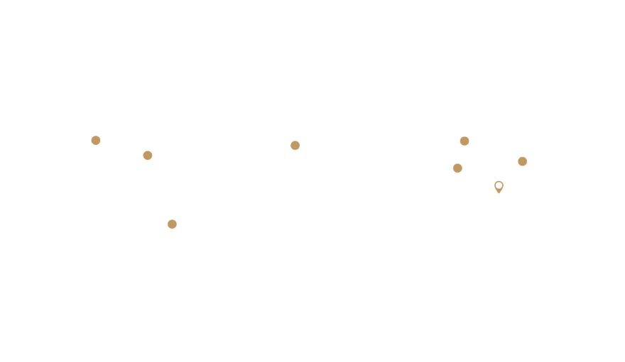 Customer Distribution